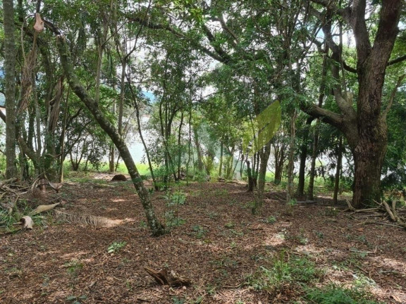 Imagem Chácara com 2 Quartos à Venda, 6.000 m² em Piracaia - Piracaia Imagem Chácara com 2 Quartos à Venda, 6.000 m² em Piracaia - Piracaia
