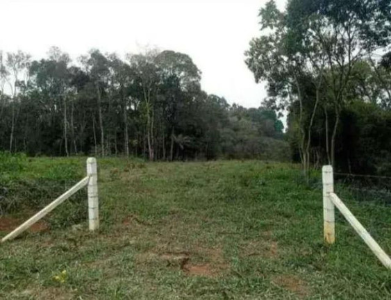 Imagem Imóvel à Venda, 22.000 m² em Areia Branca Dos Assis - Mandirituba Imagem Imóvel à Venda, 22.000 m² em Areia Branca Dos Assis - Mandirituba