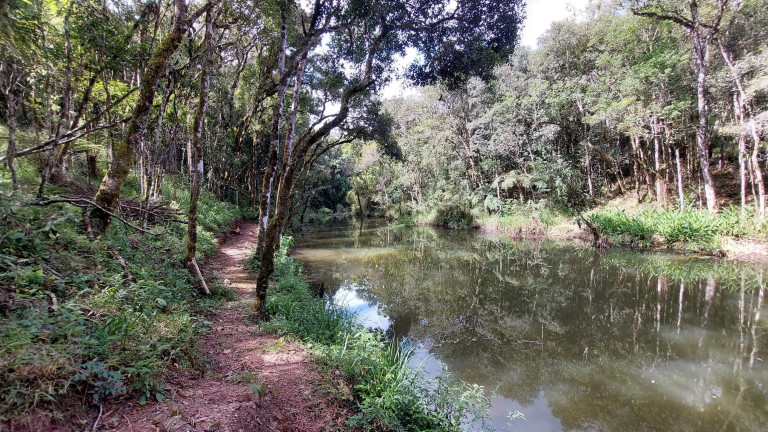 Imagem Chácara com 6 Quartos à Venda, 1 m² em Felpudo - Campo Largo