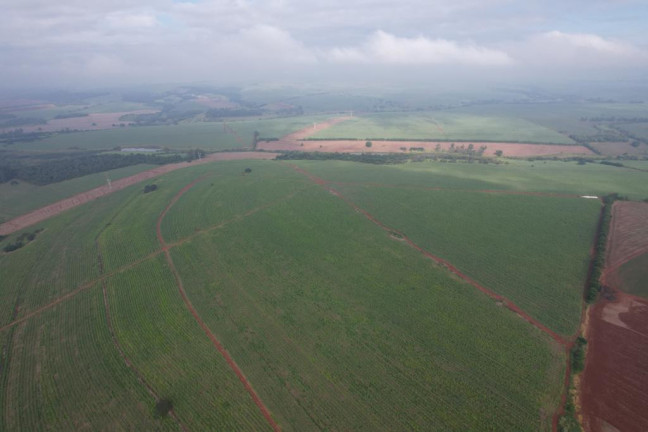 Imagem Fazenda à Venda, 53 m² em Zona Rural - Ipauçu Imagem Fazenda à Venda, 53 m² em Zona Rural - Ipauçu