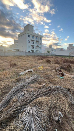 Imagem Terreno à Venda, 360 m² em Loteamento Bosque Da Mata - Tijucas Imagem Terreno à Venda, 360 m² em Loteamento Bosque Da Mata - Tijucas