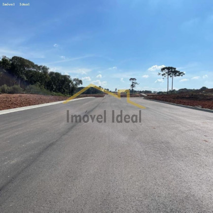 Imagem Terreno à Venda, 230 m² em Costeira - Araucária