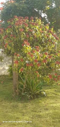 Imagem Chácara à Venda,  em Bairro Altos De Caucaia - Cotia