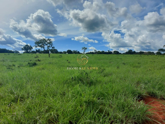 Imagem Imóvel com 3 Quartos à Venda, 45.500 m² em Zona Rural - Minaçu Imagem Imóvel com 3 Quartos à Venda, 45.500 m² em Zona Rural - Minaçu