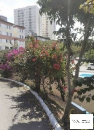 Imagem Apartamento com 2 Quartos à Venda, 48 m² em Jardim América - São José Dos Campos Imagem Apartamento com 2 Quartos à Venda, 48 m² em Jardim América - São José Dos Campos