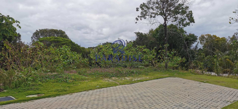 Imagem Terreno à Venda, 700 m² em Praia Do Forte - Mata De São João Imagem Terreno à Venda, 700 m² em Praia Do Forte - Mata De São João