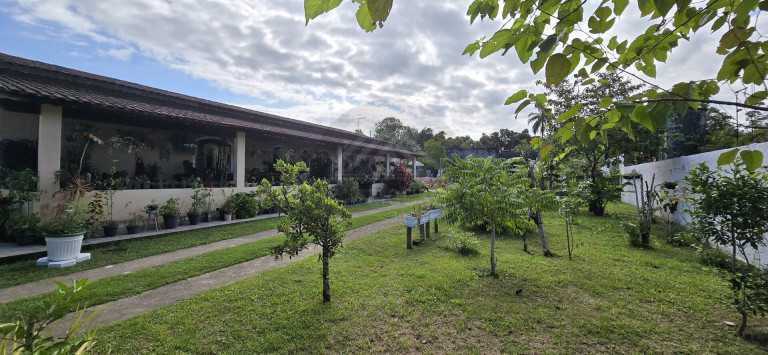 Imagem Chácara com 1 Quarto à Venda, 1.000 m² em Jardim Umuarama - Itanhaém Imagem Chácara com 1 Quarto à Venda, 1.000 m² em Jardim Umuarama - Itanhaém
