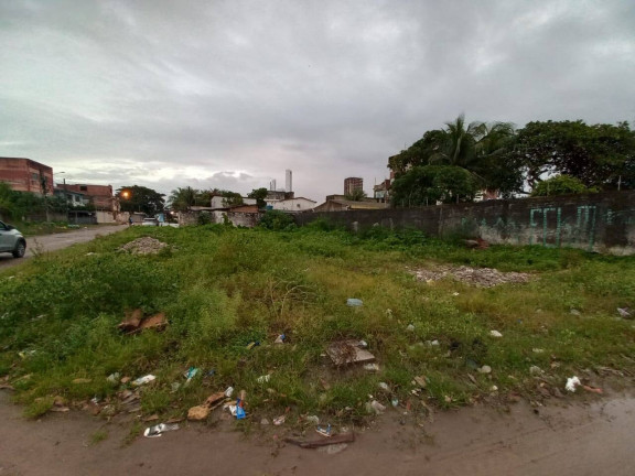 Imagem Terreno à Venda, 470 m² em Barra De Jangada - Jaboatão Dos Guararapes Imagem Terreno à Venda, 470 m² em Barra De Jangada - Jaboatão Dos Guararapes