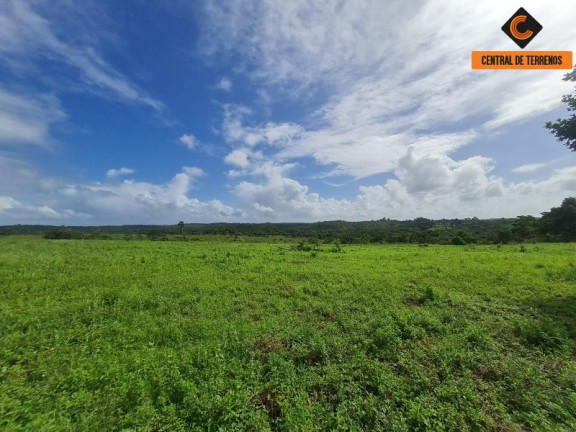Imagem Imóvel com 2 Quartos à Venda, 975.787 m² em Barra De Pojuca - Camaçari