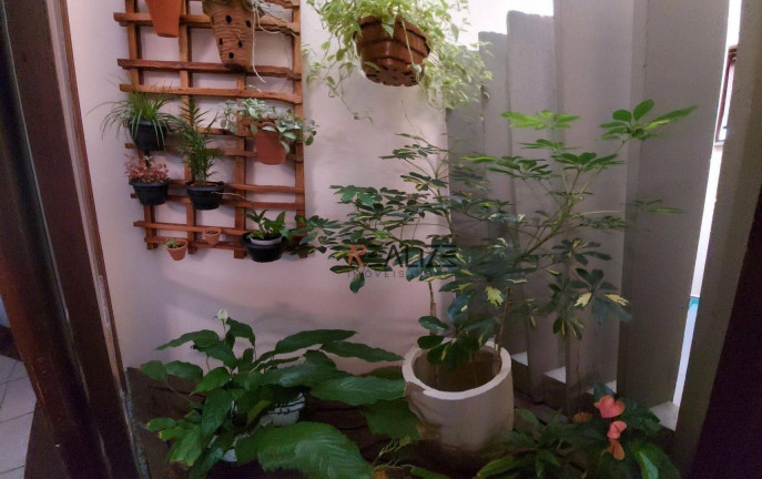 Imagem Casa com 3 Quartos à Venda, 219 m² em Cibratel - Itanhaém