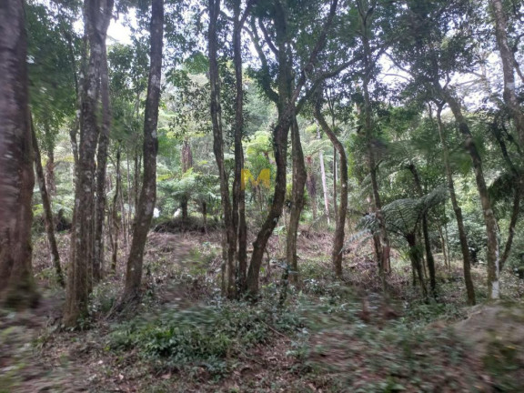 Imagem Chácara à Venda, em Recreio Da Serra - Piraquara Imagem Chácara à Venda, em Recreio Da Serra - Piraquara