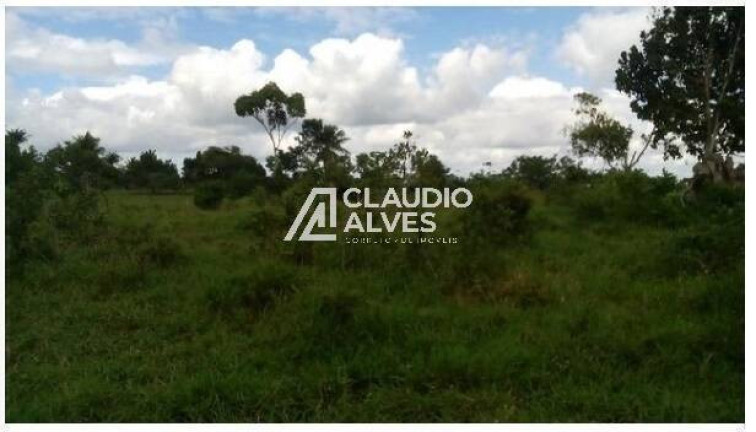 Imagem Terreno à Venda, 13.000 m² em Br 324 - Amélia Rodrigues Imagem Terreno à Venda, 13.000 m² em Br 324 - Amélia Rodrigues