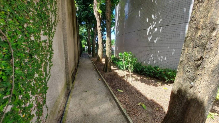 Imagem Apartamento com 4 Quartos à Venda, 184 m² em Poço Da Panela - Recife