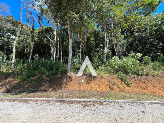 Imagem Terreno à Venda, 350 m² em Quebra Frascos - Teresópolis Imagem Terreno à Venda, 350 m² em Quebra Frascos - Teresópolis