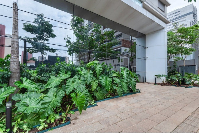 Imagem Apartamento com 2 Quartos à Venda, 84 m² em Vila Mariana - São Paulo Imagem Apartamento com 2 Quartos à Venda, 84 m² em Vila Mariana - São Paulo
