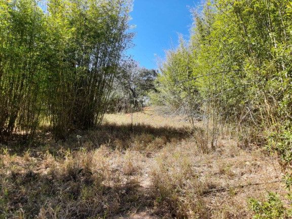 Imagem Chácara à Venda, 21 m² em água Comprida - Bragança Paulista Imagem Chácara à Venda, 21 m² em água Comprida - Bragança Paulista