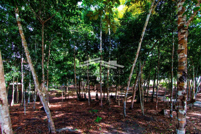 Imagem Terreno à Venda, 500 m² em Porto Seguro