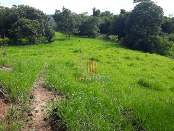Imagem Chácara à Venda, 338.800 m² em Area Rural - Novo Brasil Imagem Chácara à Venda, 338.800 m² em Area Rural - Novo Brasil