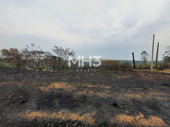 Imagem Terreno à Venda, 54.000 m² em Chácara Recreio Cruzeiro Do Sul - Santa Bárbara D'oeste