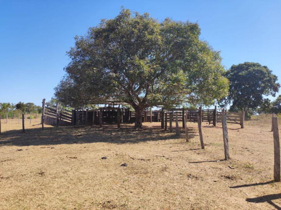 Imagem Fazenda à Venda, em Nossa Senhora Do Livramento Imagem Fazenda à Venda, em Nossa Senhora Do Livramento