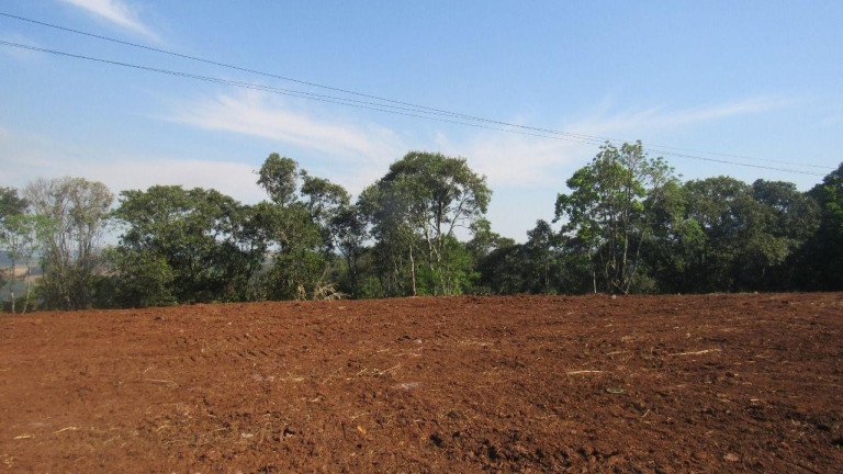 Imagem Terreno à Venda, 28.000 m² em Interior - Concórdia Imagem Terreno à Venda, 28.000 m² em Interior - Concórdia