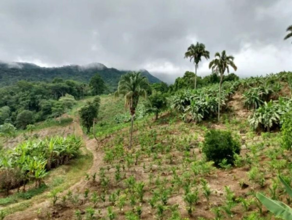 Fazenda à Venda, 33 m² em Centro - Morretes