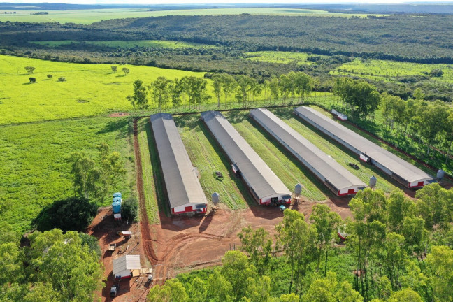 Imóvel à Venda, 740.000 m² em Centro - Nova Mutum