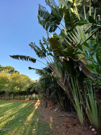 Imagem Imóvel com 2 Quartos à Venda, 200 m² em Loiolas - Limeira Imagem Imóvel com 2 Quartos à Venda, 200 m² em Loiolas - Limeira