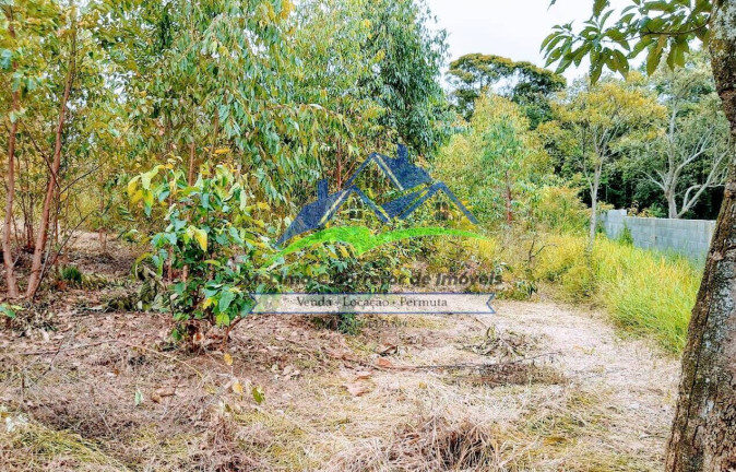 Imagem Chácara com 3 Quartos à Venda, 5.900 m² em Terra Preta - Mairiporã Imagem Chácara com 3 Quartos à Venda, 5.900 m² em Terra Preta - Mairiporã