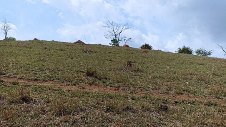 Chácara com 1 Quarto à Venda, 10 m² em Capim Da Angola - Paraibuna