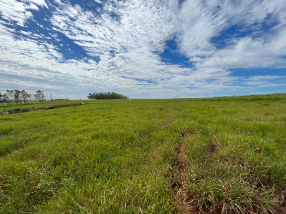 Imagem Chácara à Venda, 24 m² em Serra Dos Dourados - Umuarama Imagem Chácara à Venda, 24 m² em Serra Dos Dourados - Umuarama
