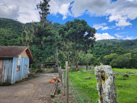 Imagem Imóvel à Venda, 130.932 m² em Zona Rural - Alfredo Wagner Imagem Imóvel à Venda, 130.932 m² em Zona Rural - Alfredo Wagner