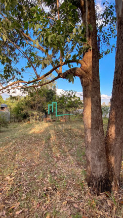 Imagem Imóvel com 4 Quartos à Venda, 5.006 m² em Morada Do Sol - Franca Imagem Imóvel com 4 Quartos à Venda, 5.006 m² em Morada Do Sol - Franca