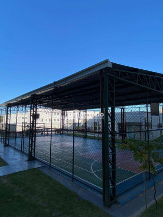 Imagem Apartamento com 2 Quartos para Alugar, 47 m² em Parque Prado - Campinas Imagem Apartamento com 2 Quartos para Alugar, 47 m² em Parque Prado - Campinas