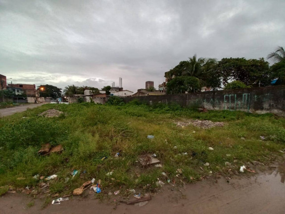Imagem Terreno à Venda, 470 m² em Barra De Jangada - Jaboatão Dos Guararapes Imagem Terreno à Venda, 470 m² em Barra De Jangada - Jaboatão Dos Guararapes