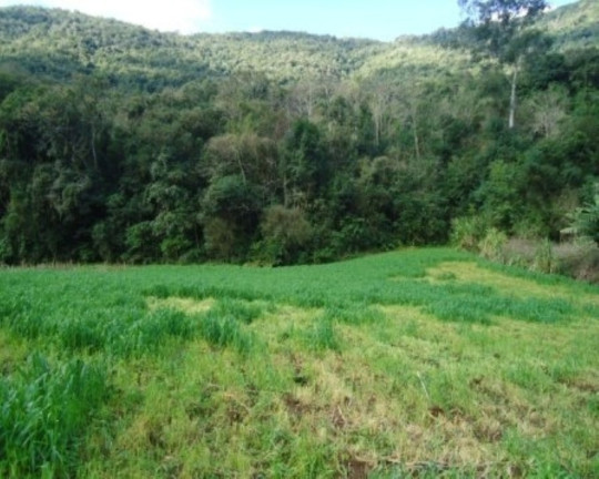 Imagem Terreno à Venda, 6 m² em São José Do Caí - Nova Petrópolis Imagem Terreno à Venda, 6 m² em São José Do Caí - Nova Petrópolis