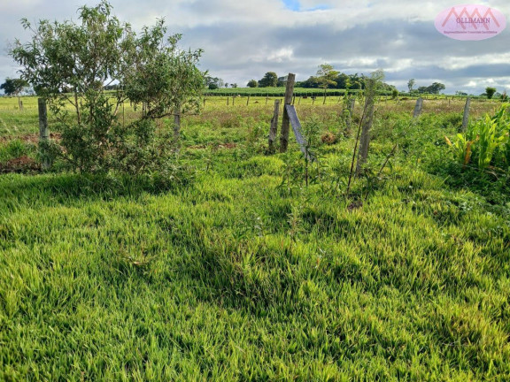 Imagem Terreno à Venda, 3.000 m² em Bairro Boco Guarei - Itapetininga Imagem Terreno à Venda, 3.000 m² em Bairro Boco Guarei - Itapetininga