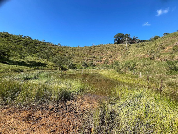 Imagem Fazenda à Venda, 753.913 m² em Taquara-assa - Ibiraçu