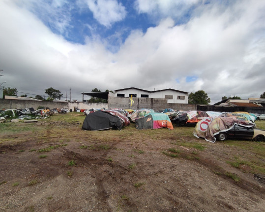 Imagem Terreno à Venda, 5.000 m² em Centro - Pinhais
