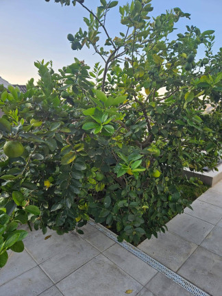 Imagem Casa de Condomínio com 4 Quartos à Venda, 450 m² em Nova Gardênia - Atibaia