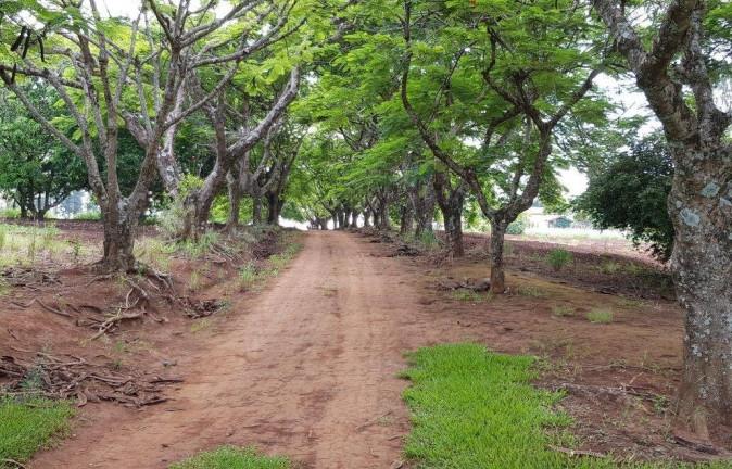 Imagem Chácara com 8 Quartos à Venda, 5 m² em Recanto Maravilha - Boituva