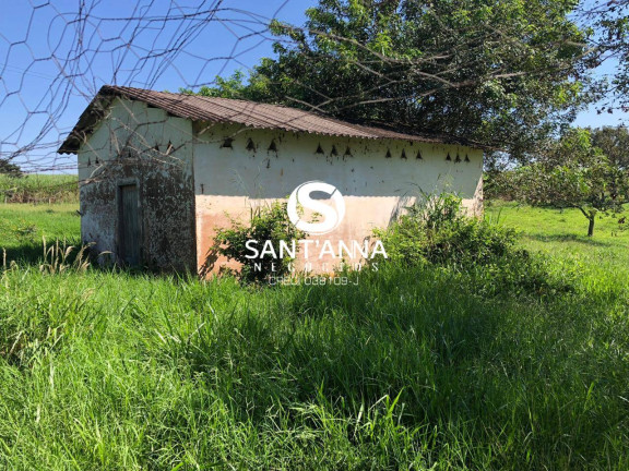 Imagem Chácara à Venda, 16 m² em área Rural De Fernandópolis - Fernandópolis Imagem Chácara à Venda, 16 m² em área Rural De Fernandópolis - Fernandópolis