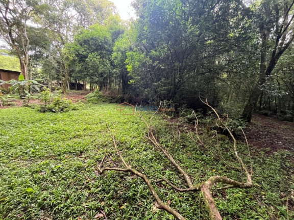 Imagem Imóvel à Venda, 163 m² em Solidão - Maquiné Imagem Imóvel à Venda, 163 m² em Solidão - Maquiné