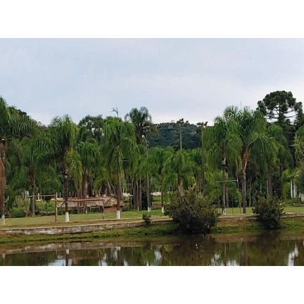 Imagem Imóvel com 4 Quartos à Venda, 133.100 m² em Contenda - Contenda