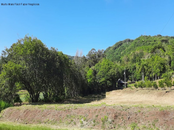 Imagem Terreno à Venda, 150 m² em Linha Araripe - Nova Petrópolis