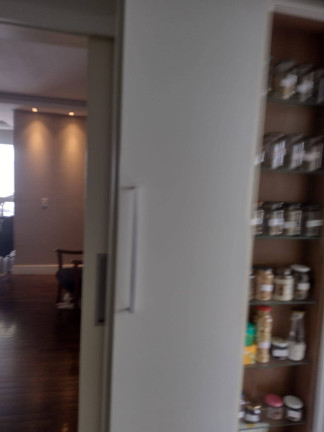 Imagem Cobertura com 5 Quartos à Venda, 255 m² em Jardim Aquarius - São José Dos Campos