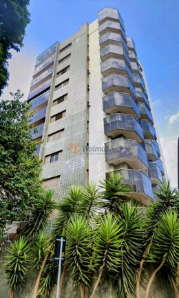 Imagem Imóvel com 3 Quartos para Alugar, 218 m² em Cambuí - Campinas Imagem Imóvel com 3 Quartos para Alugar, 218 m² em Cambuí - Campinas