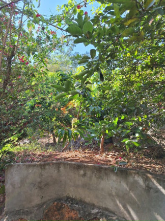 Imagem Imóvel com 3 Quartos à Venda, 2.750 m² em Estância Navarrete (zona Rural) - São José Do Rio Preto