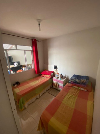 Imagem Apartamento com 3 Quartos à Venda, 65 m² em São João Batista - Belo Horizonte Imagem Apartamento com 3 Quartos à Venda, 65 m² em São João Batista - Belo Horizonte