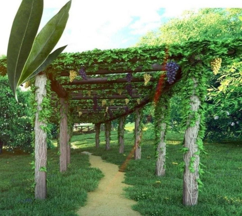 Imagem Terreno à Venda, 1.023 m² em Setor Maysa - Trindade